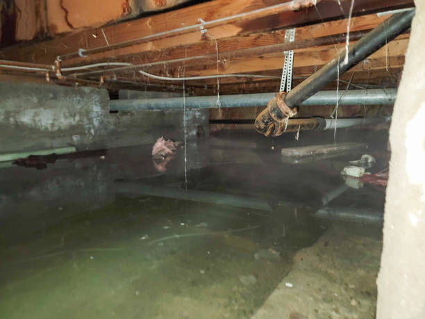 Best Fire Damage Restoration  in Lipscom, AL