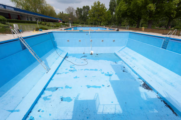 Best Basement water damage restoration  in Lipscom, AL