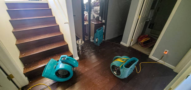 Best Ceiling water damage repair  in Lipscom, AL