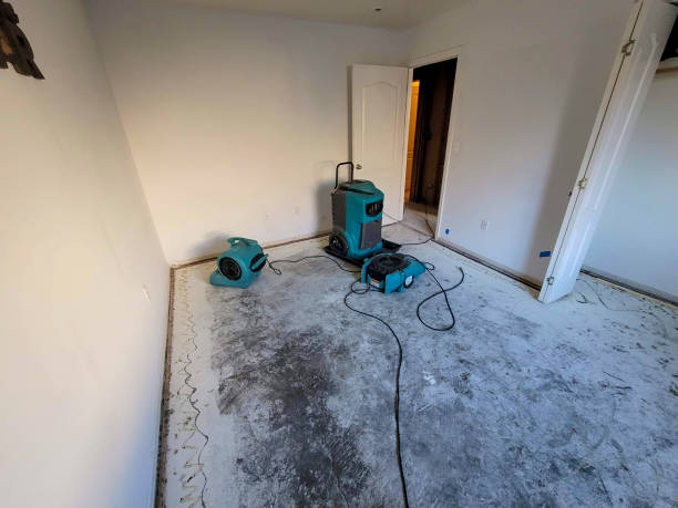 Best Flood damage cleanup  in Lipscom, AL
