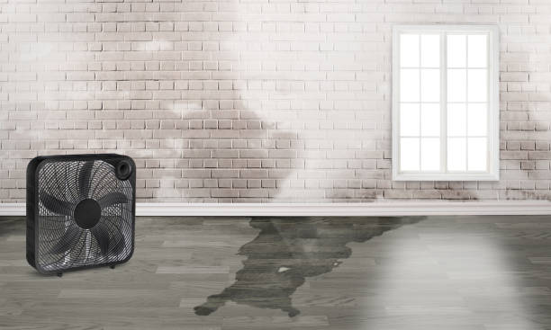 Reliable AL Water damage restoration Solutions