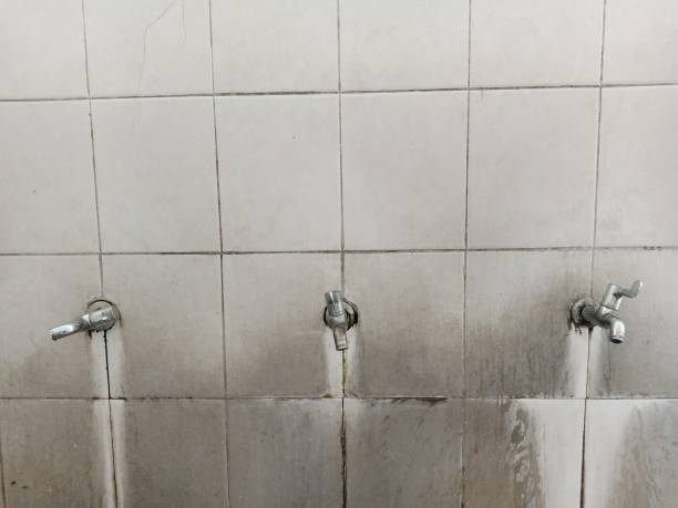 Best 24/7 water damage repair  in Lipscom, AL
