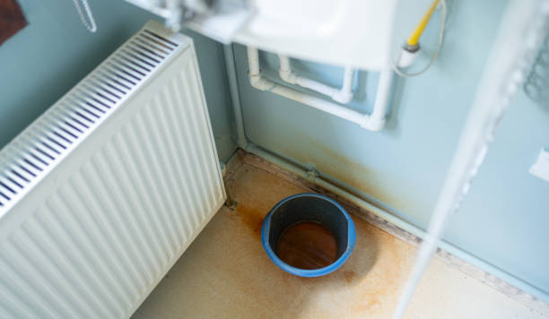 Best Sewage cleanup and water damage restoration  in Lipscom, AL